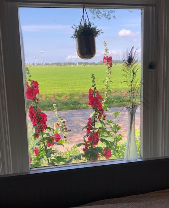 Appartement Voor Twee Personen Twisk Экстерьер фото